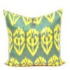 Green Decorative Toss Pillow