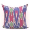 Lovely Cotton Ikat Pillow