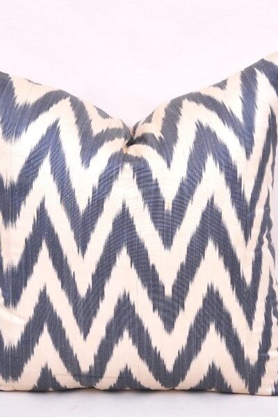 Chevron Ikat Accent Pillow Case