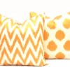 Two Decorative Ikat Pillow Cover