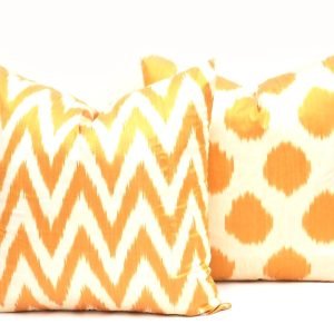 Two Decorative Ikat Pillow Cover