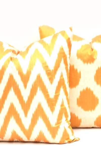 Two Decorative Ikat Pillow Cover