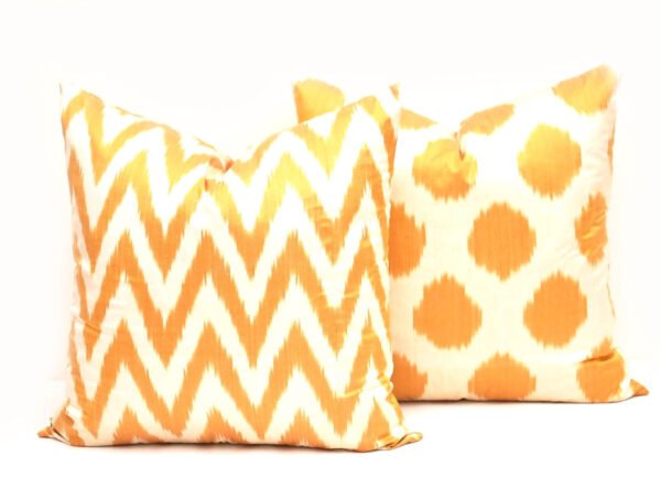 Two Decorative Ikat Pillow Cover