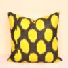 Polka Dot Handwoven Ikat Pillowcase